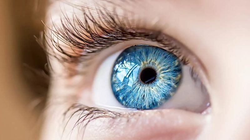 Desarrollan sistema con IA para detectar riesgo de alzhéimer mediante imágenes de retina