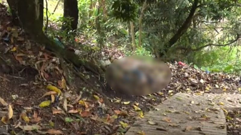 Hombre sin vida colonia Brasilia Hombre sin vida colonia Brasilia