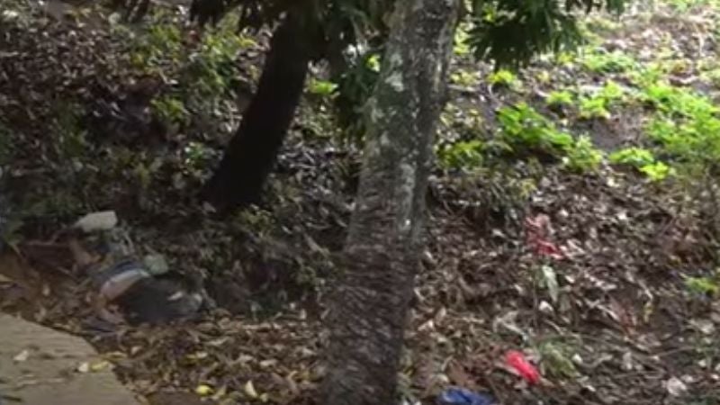 Muerto en colonia Brasilia