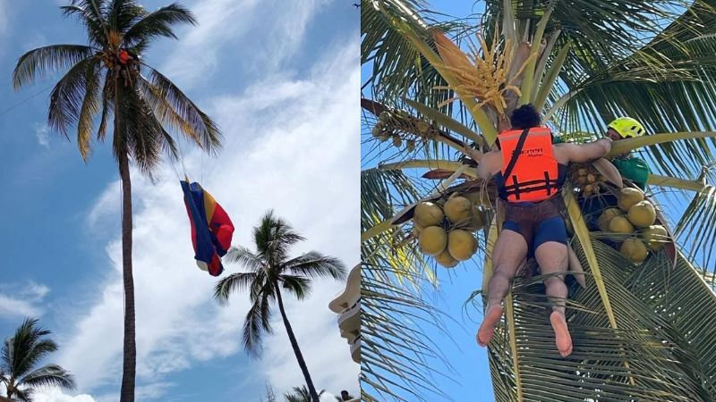 Joven colgado en palmera