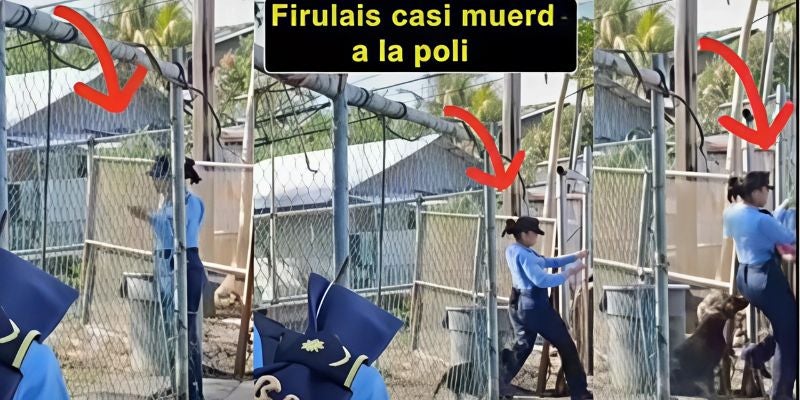 Video: Firulais casi muerde a mujer policía durante ingreso a una vivienda