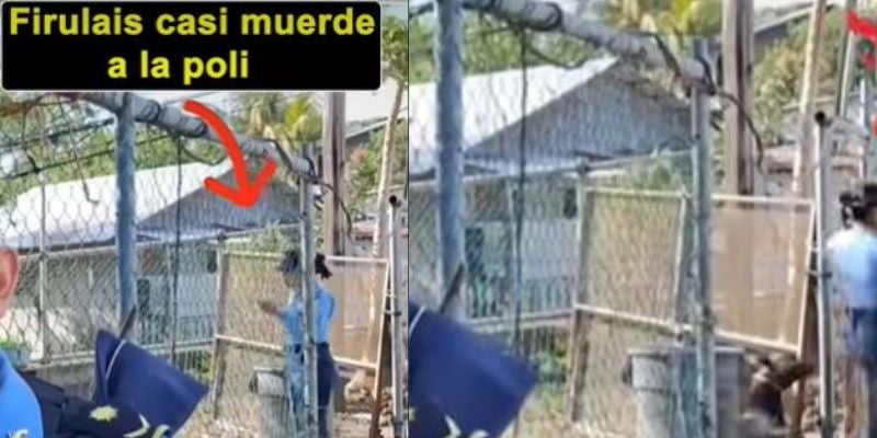 Video: Firulais casi muerde a mujer policía durante ingreso a una vivienda