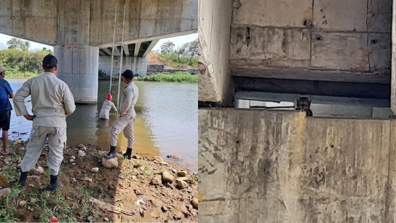 Bomberos salvan gato Danto Bomberos salvan gato Danto