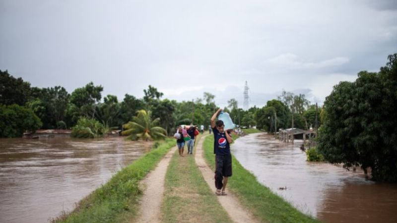 bordos del río Ulúa