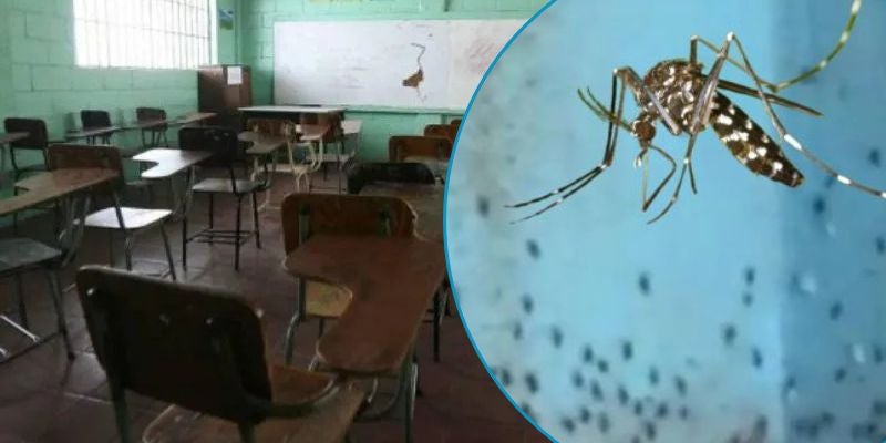 Suspenden clases en escuela de Choluteca por infestación de zancudos