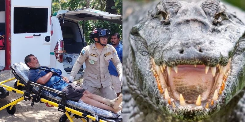 Pescador en Atlántida casi pierde la mano tras ataque de lagarto