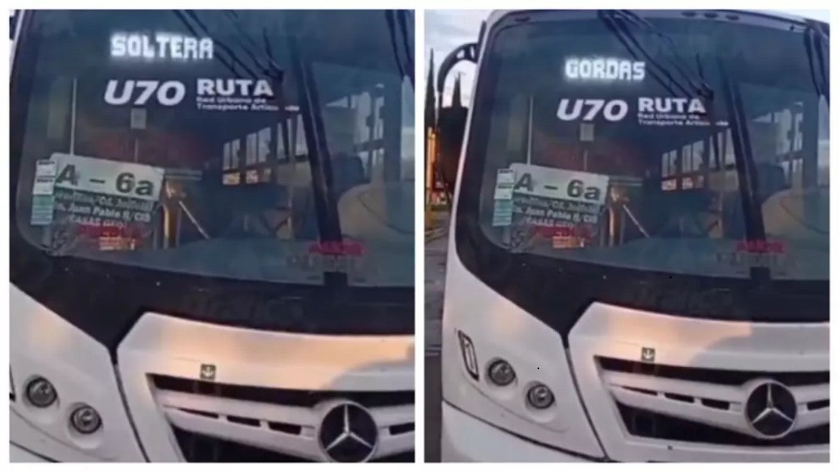 Bus