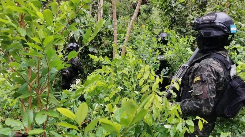 Plantación coca laboratorio Olanchito