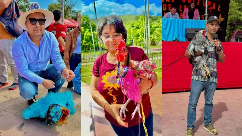 Concurso gallinas Honduras