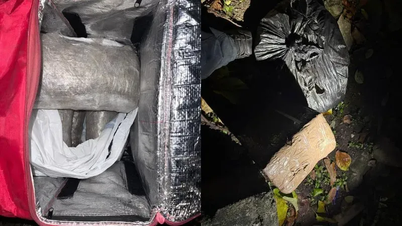 MS delivery droga SPS