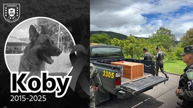 Adiós Koby can militar