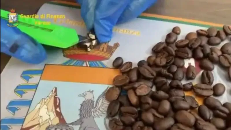 Capo cocaína granos café