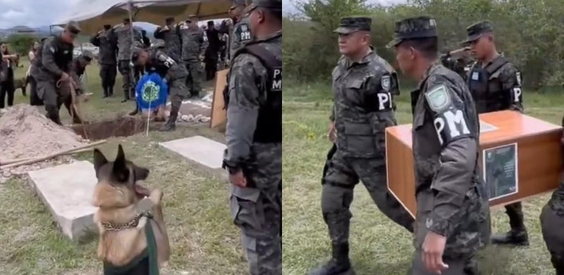 Emotivo entierro de Koby