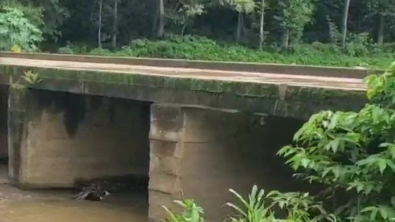 En Olancho hombre cayó desde puente