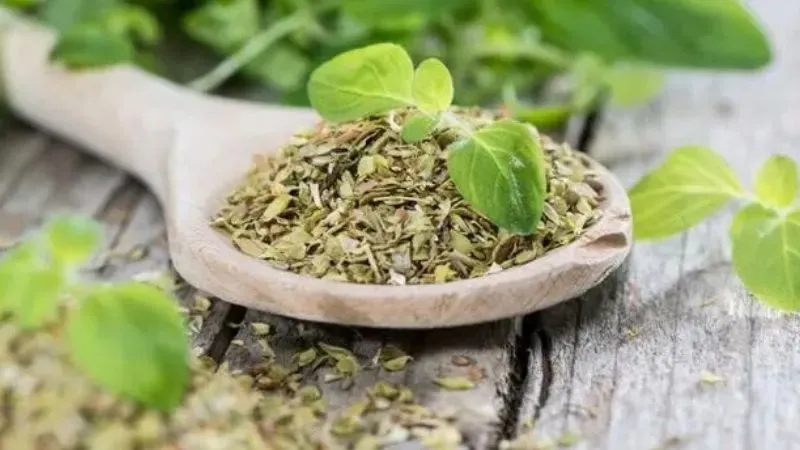 Orégano fresco y salud del corazón: ¿cuáles son sus beneficios reales?