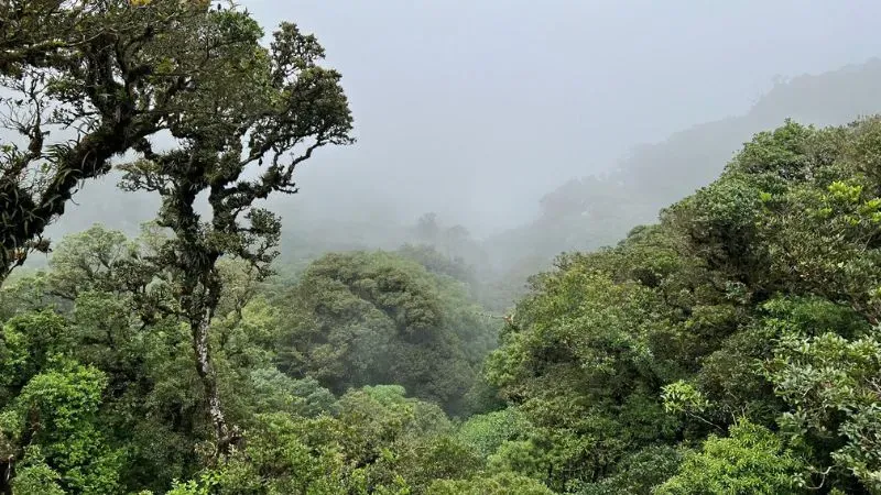 Aparecen personas desaparecidas Tigra