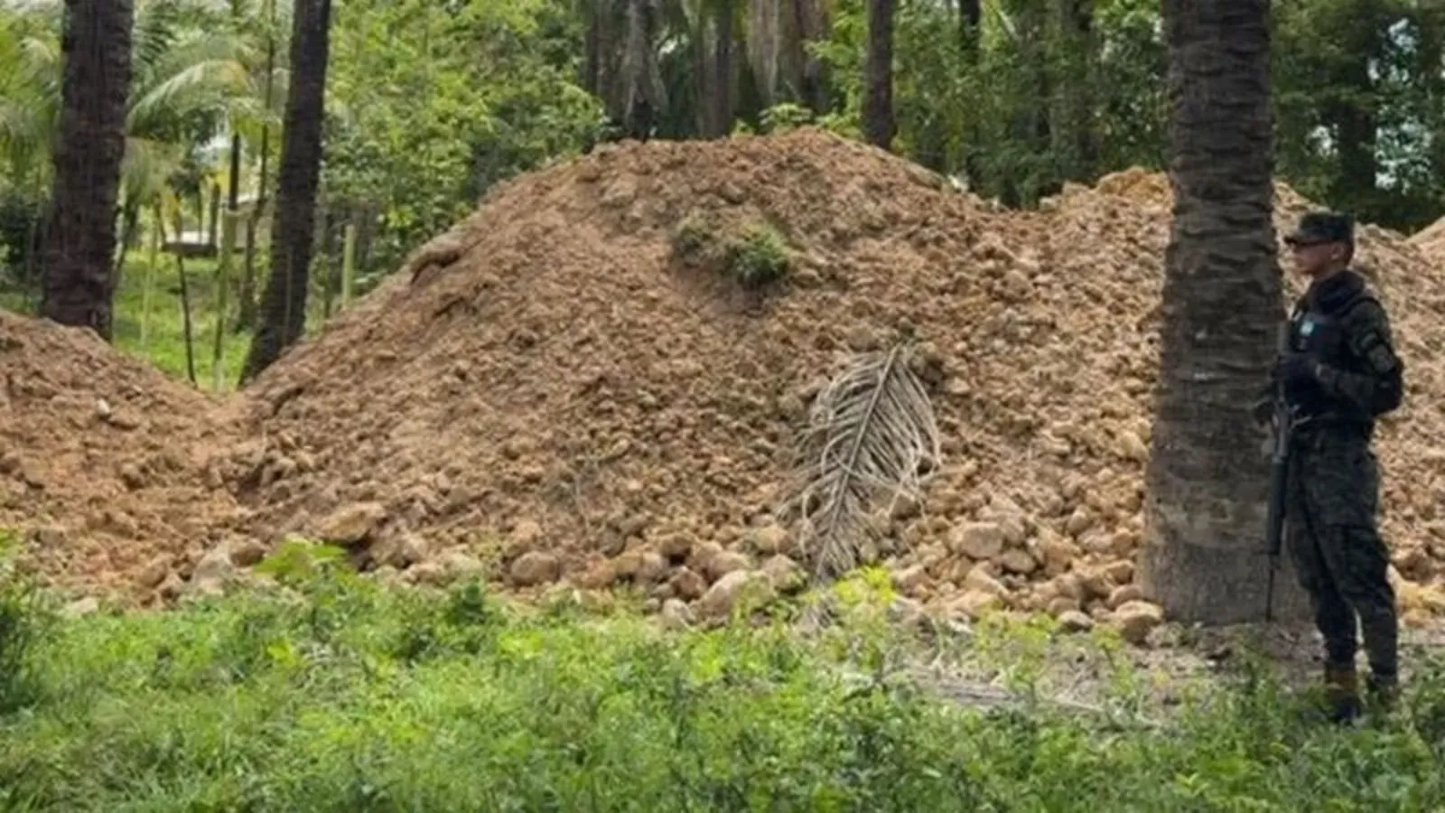 Daños ambientales Parque Jeannette Kawas