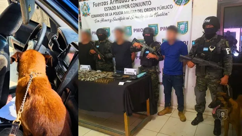 Maiky perro droga Puerto Cortés