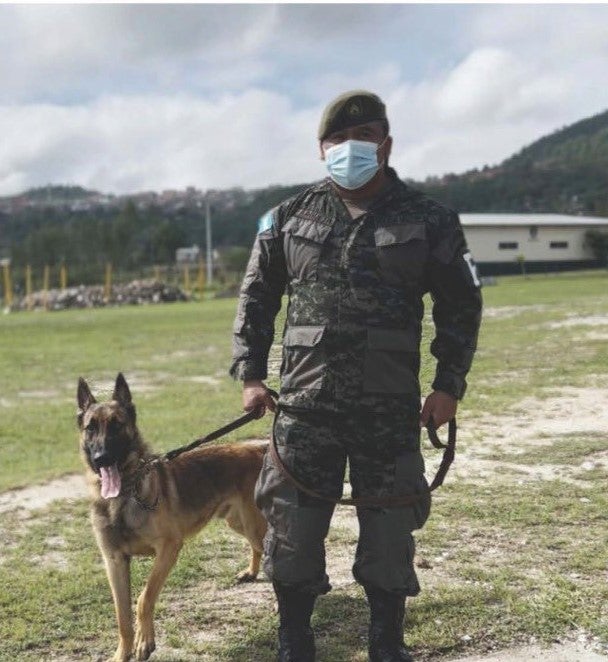 Perros detección cadáveres