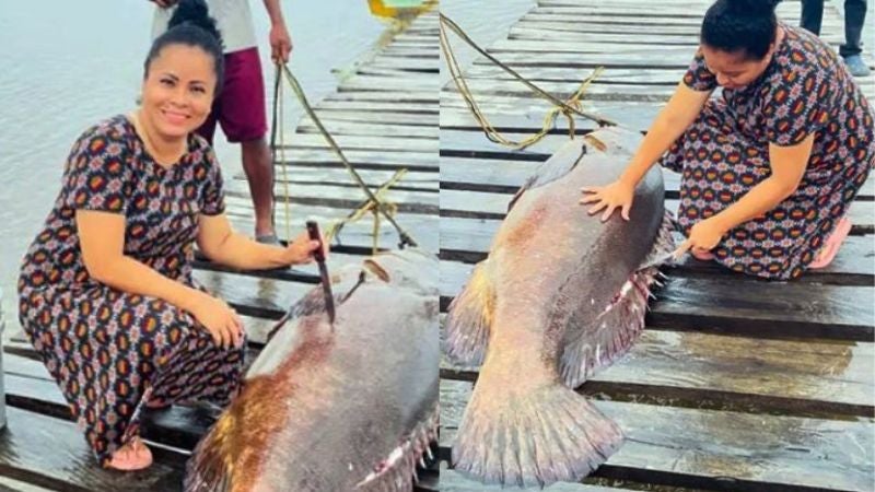 Captura de Mero de 80 Libras Gracias a Dios