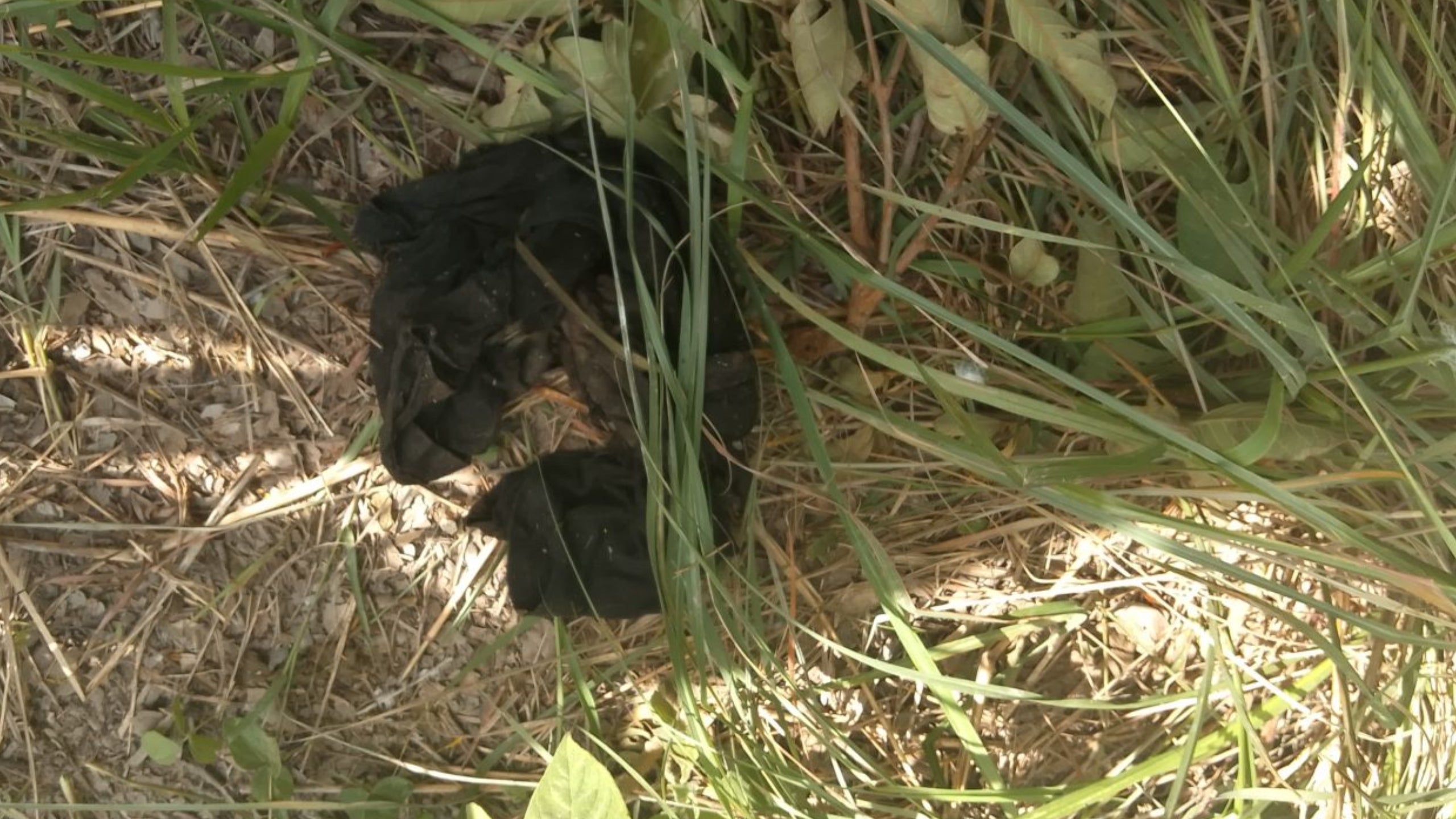 Cuerpo de hondureño en carretera a Olancho