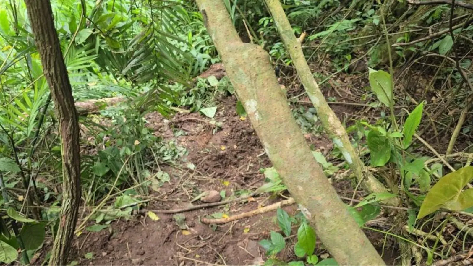 Encuentran cuerpo semienterrado