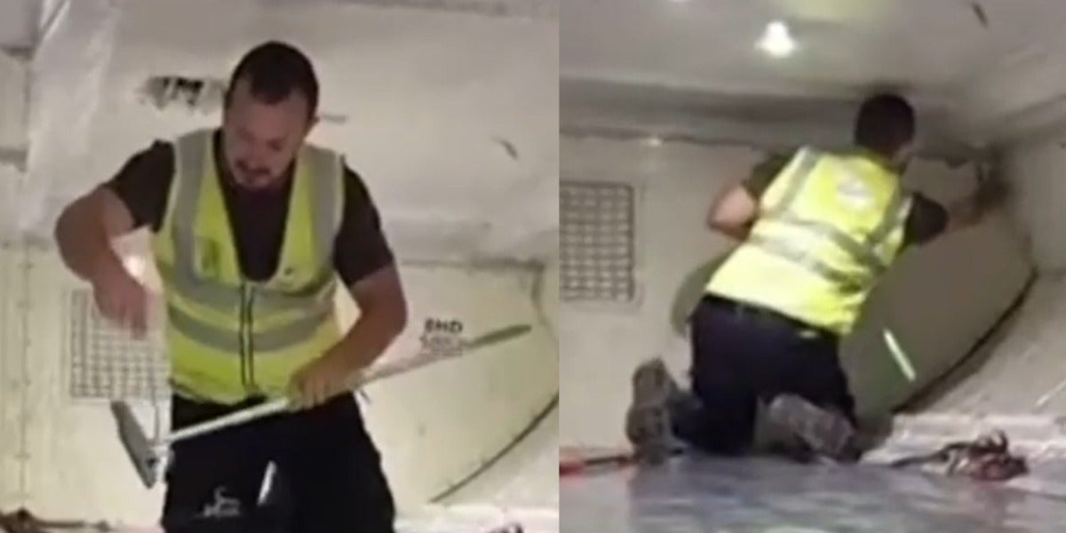 vuelo Australia serpiente a bordo