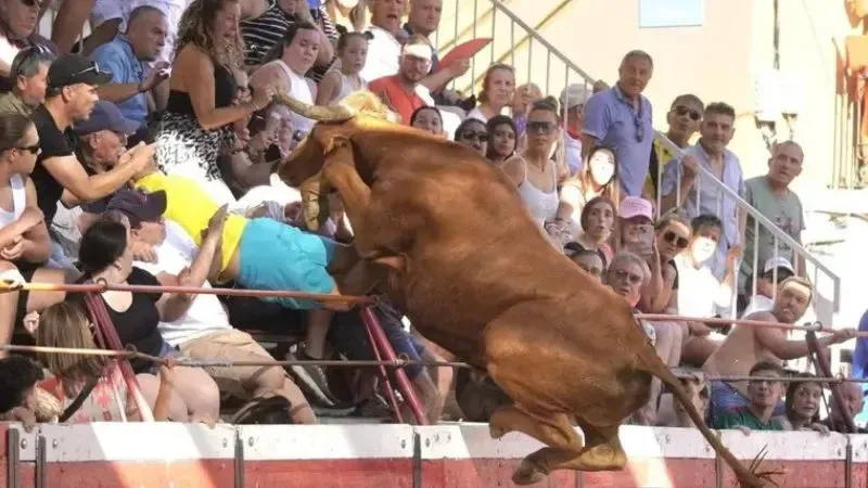 Toro salta a las gradas en festejo taurino y deja dos heridos graves