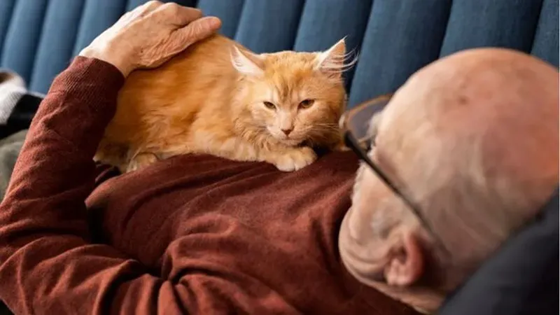 hombre herencia adopte gata