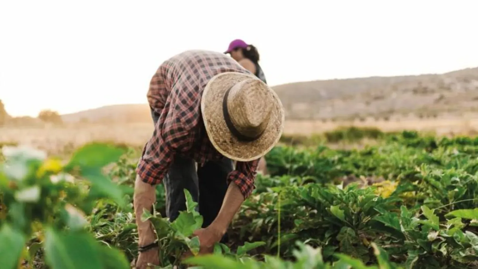 Permiso temporal migrantes