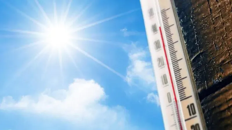 Estiman casi 400 muertes en Madrid y Barcelona por cambio climático en ola de calor