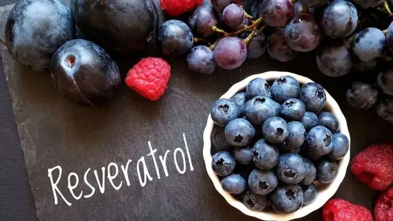 resveratrol fuente juventud