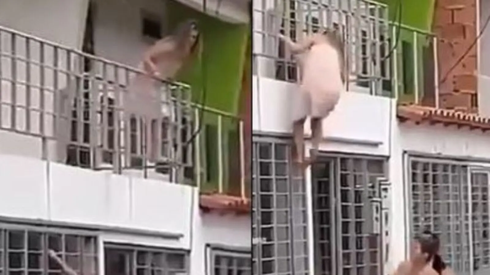 Amante escapa por un balcón