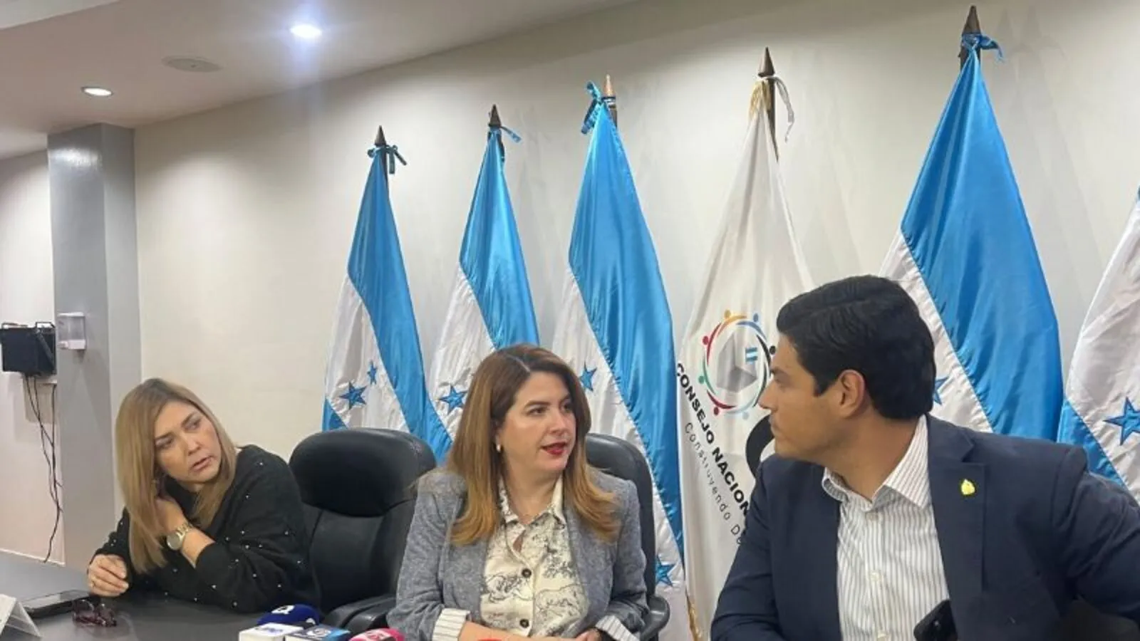 CNE acuerdos sobre el TREP