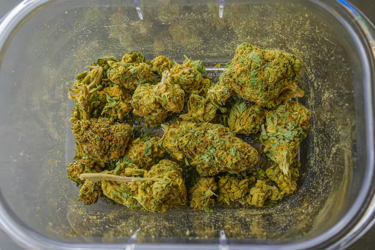 Trump abre la puerta a reclasificar la marihuana