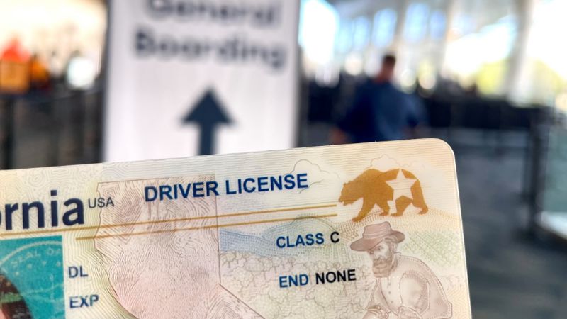 licencia estatus migratorio