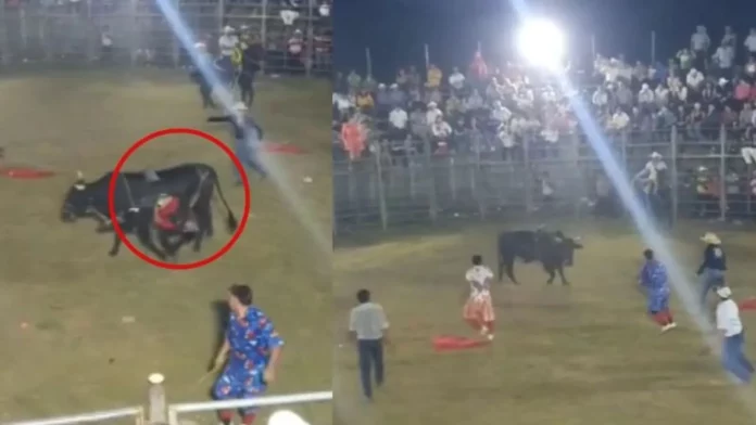 San Lorenzo: Montador es arrastrado por un toro