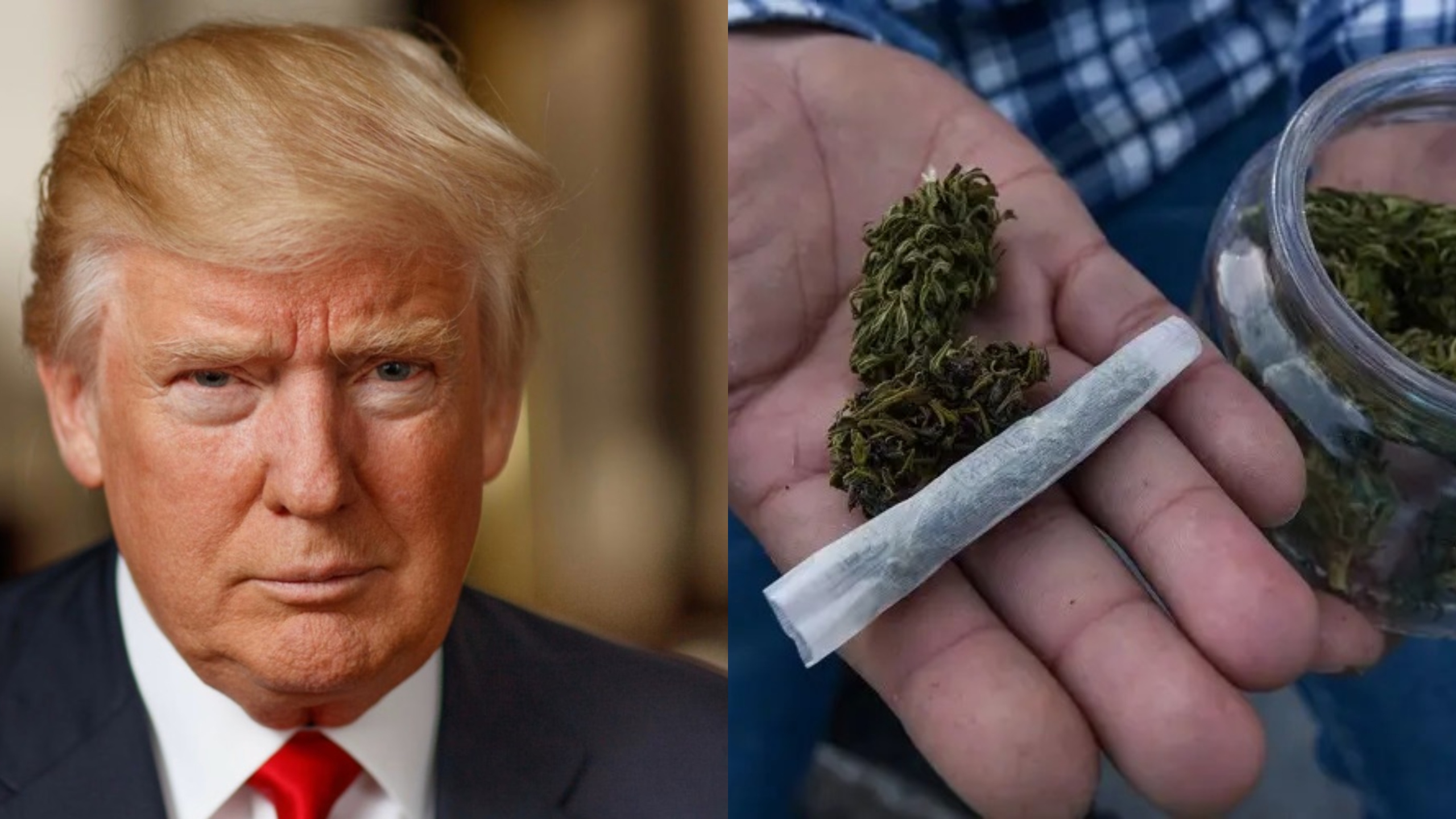 Trump abre la puerta a reclasificar la marihuana Trump abre la puerta a reclasificar la marihuana