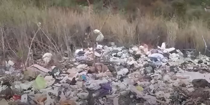 Hallan muerto en basurero a conductor de Uber raptado días atrás en El Picachito