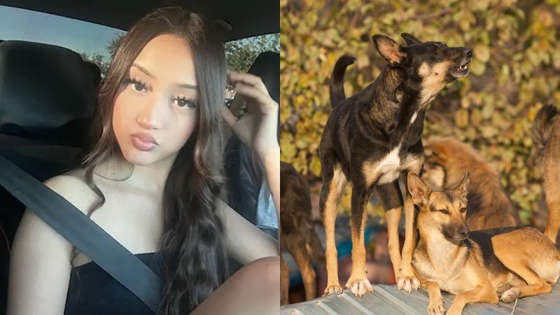 adolescente atacada por perros