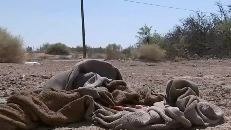 adolescente atacada por perros