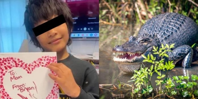 niño hondureño niño hondureño atacado por caimán