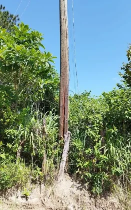 postes escuela Lempira