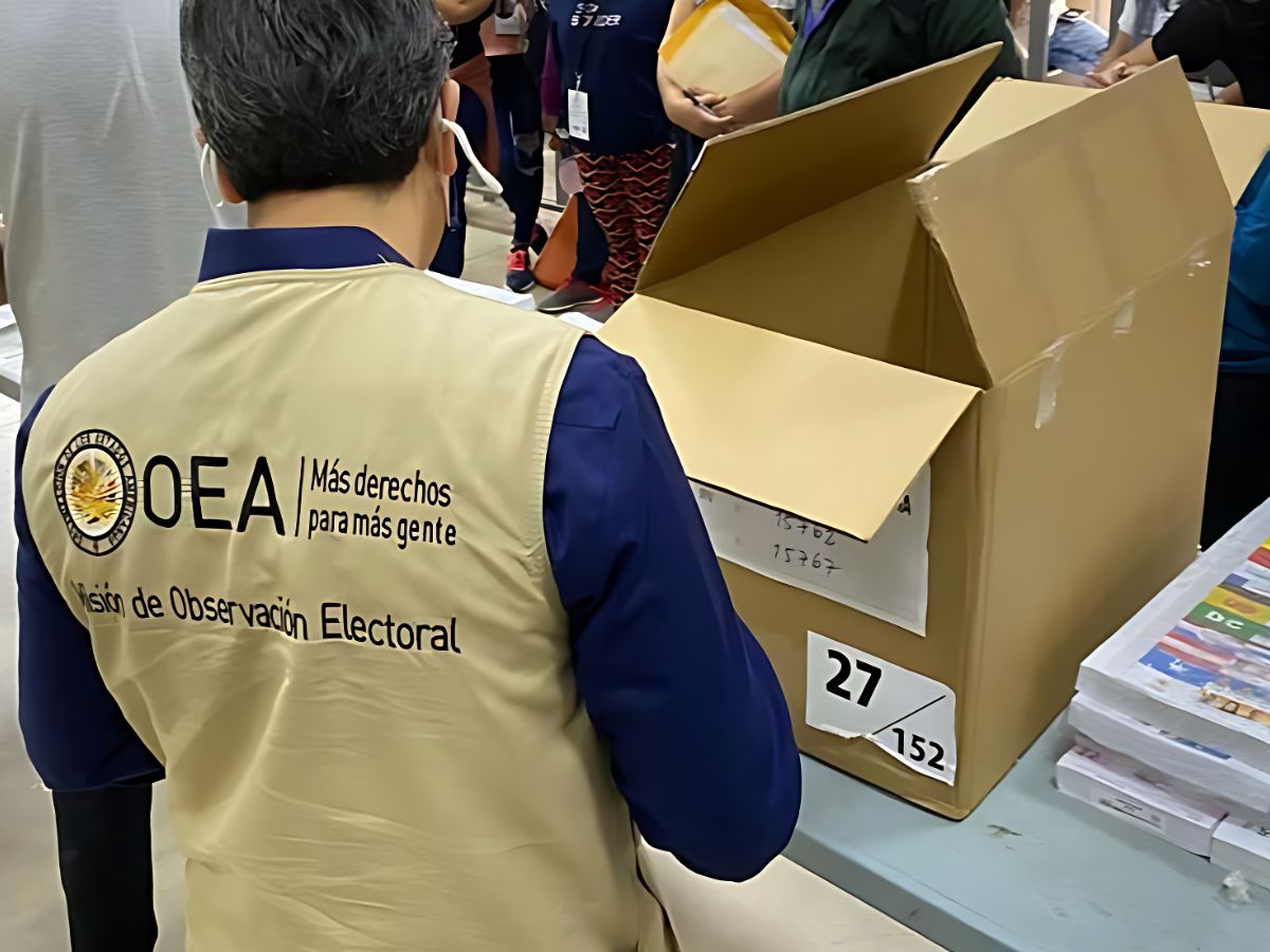 Estos son los observadores electorales confirmados