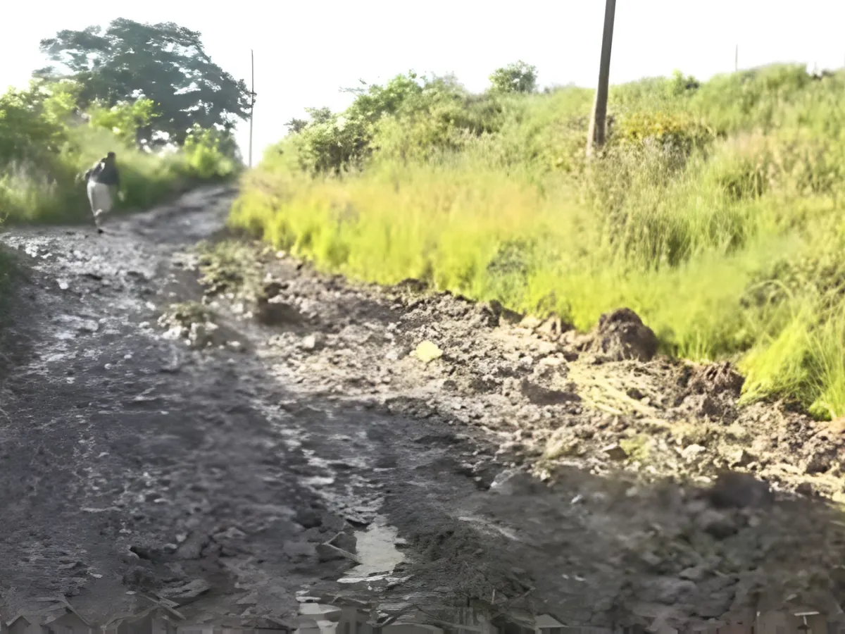calle provisional colonia Reynel Fúnez