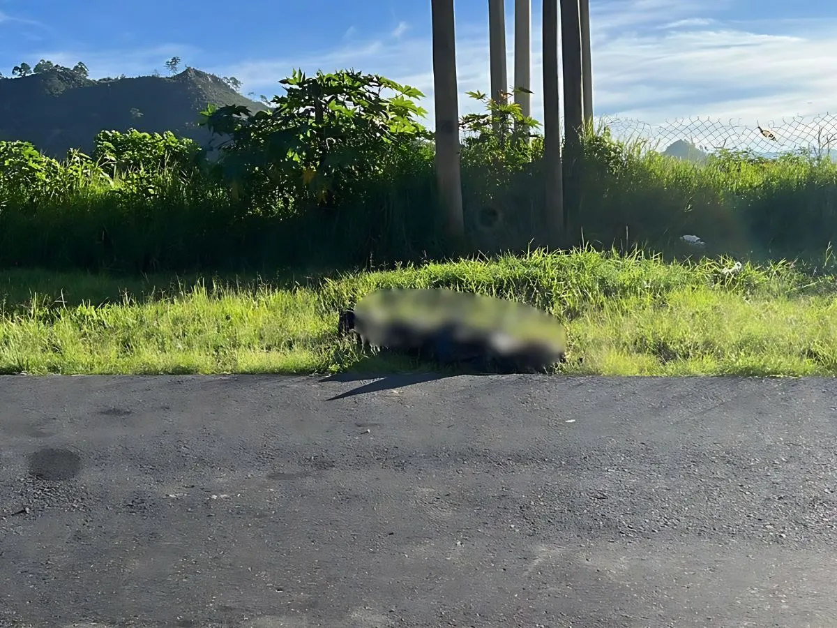 Encuentran encostalado en la CA-5