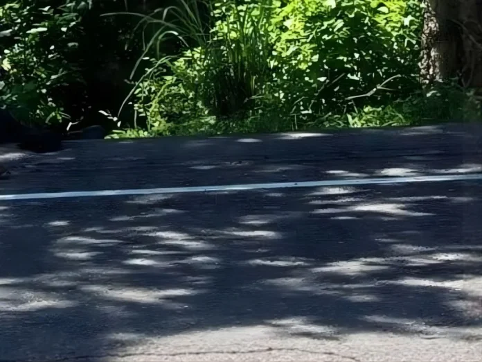 Hombre aplastado en carretera