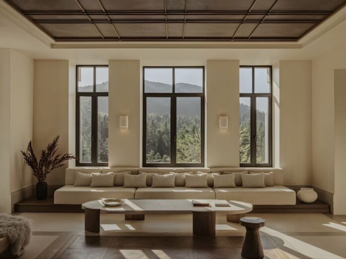 desconexion-virtual-ny