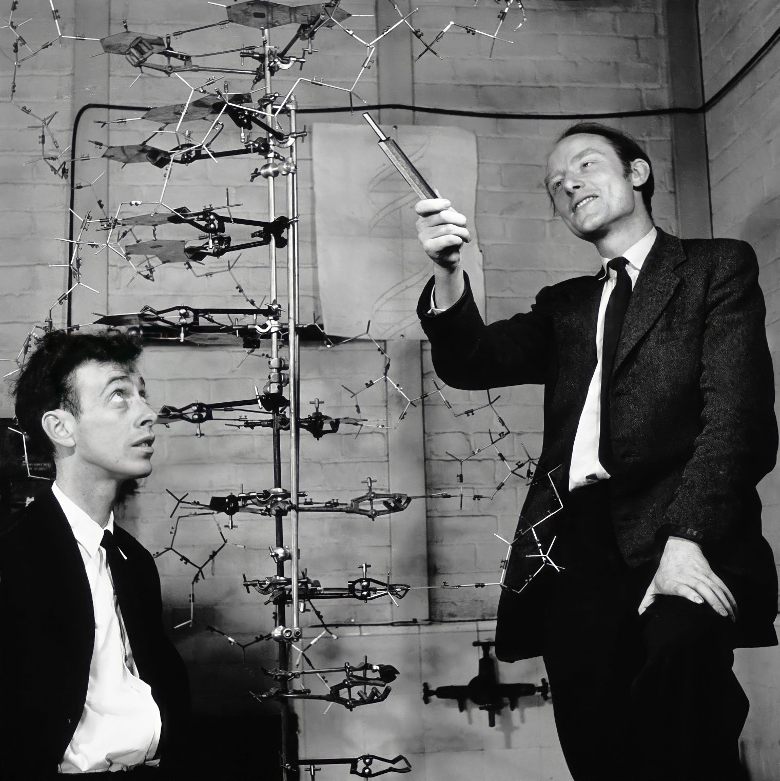 2-watson-crick-dna-model-1520x1522