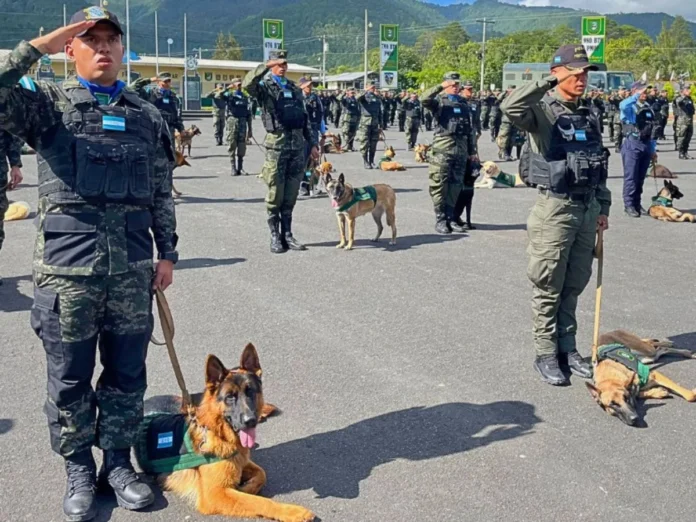 Canes entrenados seguridad penales
